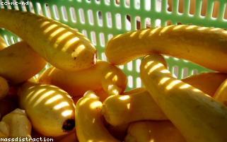 社区团购分销平台