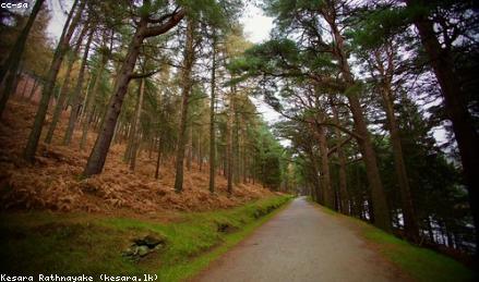 5A景区智慧导览与购票