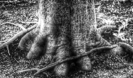 保险理财产品展示顾问